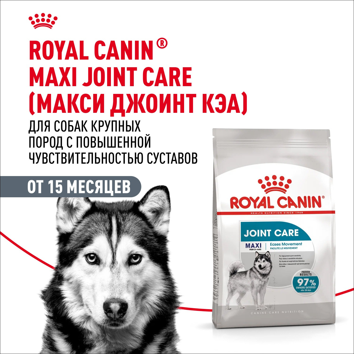 Royal Canin Maxi Joint Care сухой корм для собак крупных пород