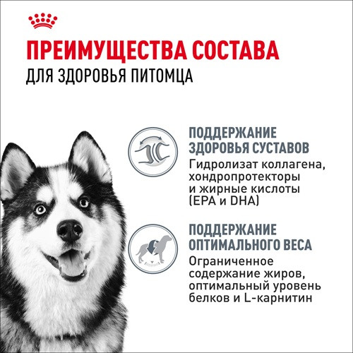 Royal Canin Maxi Joint Care сухой корм для собак крупных пород