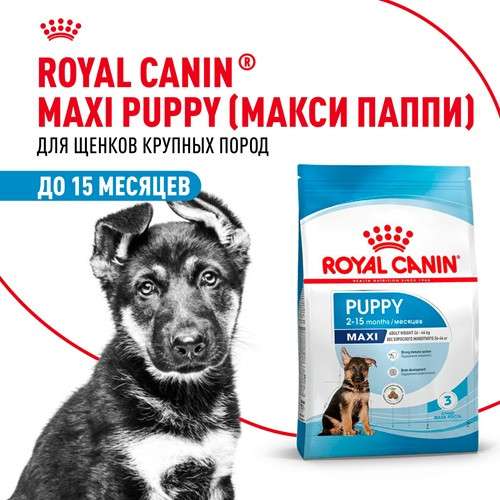 Royal Canin Maxi Puppy сухой корм для щенков крупных пород