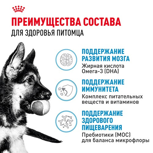 Royal Canin Maxi Puppy сухой корм для щенков крупных пород