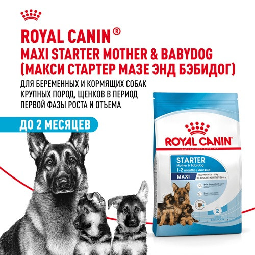 Royal Canin Maxi Starter Mother & Babydog сухой корм для щенков