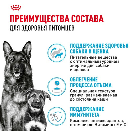 Royal Canin Maxi Starter Mother & Babydog сухой корм для щенков
