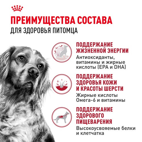 Royal Canin Medium Adult 7+ сухой корм для собак средних пород