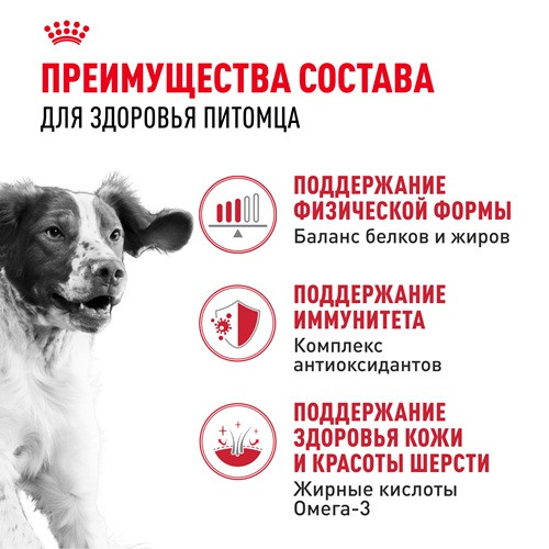 Royal Canin Medium Adult сухой корм для собак средних пород