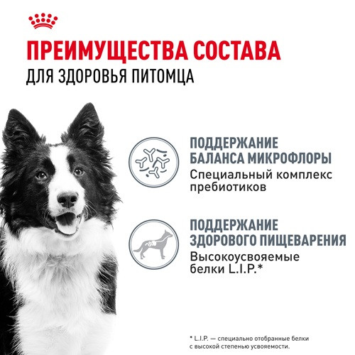 Royal Canin Medium Digestive Care сухой корм для собак средних пород
