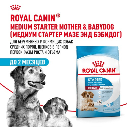 Royal Canin Medium Starter Mother & Babydog сухой корм для средних пород