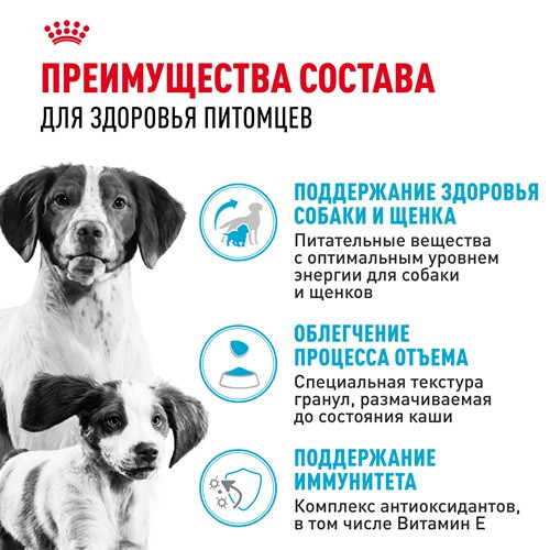 Royal Canin Medium Starter Mother & Babydog сухой корм для средних пород