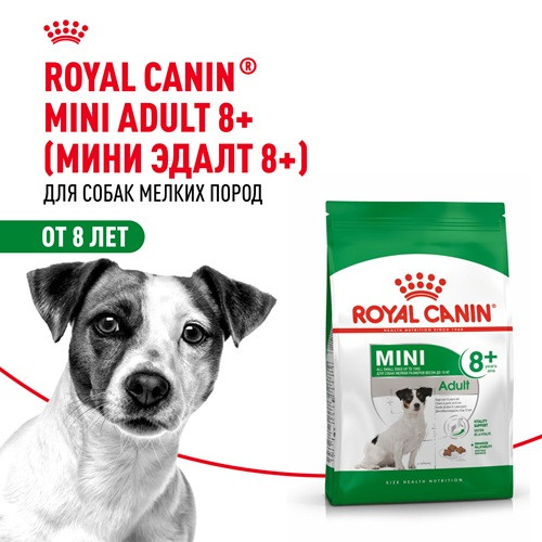 Royal Canin Mini Adult 8+ сухой корм для собак мелких пород
