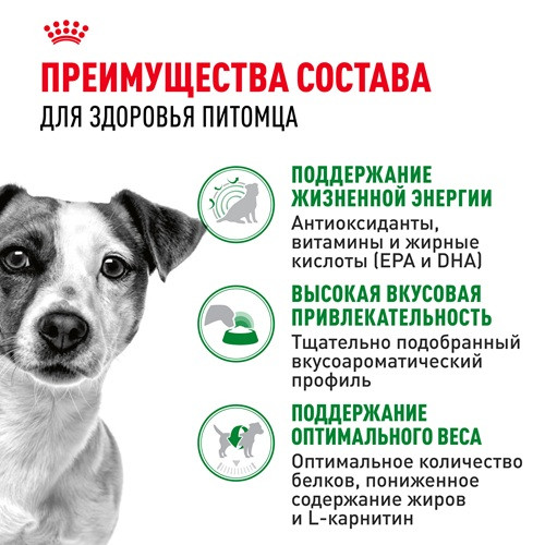 Royal Canin Mini Adult 8+ сухой корм для собак мелких пород