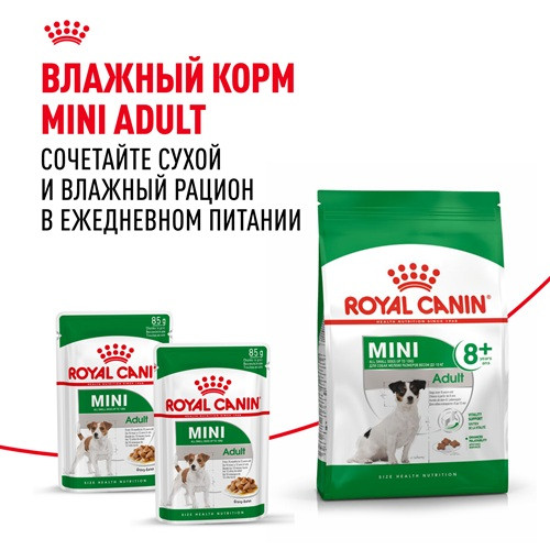 Royal Canin Mini Adult 8+ сухой корм для собак мелких пород