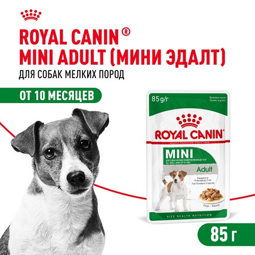 Royal Canin Mini Adult влажный корм для взрослых собак мелких пород