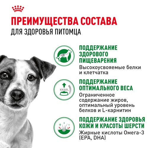 Royal Canin Mini Adult влажный корм для взрослых собак мелких пород