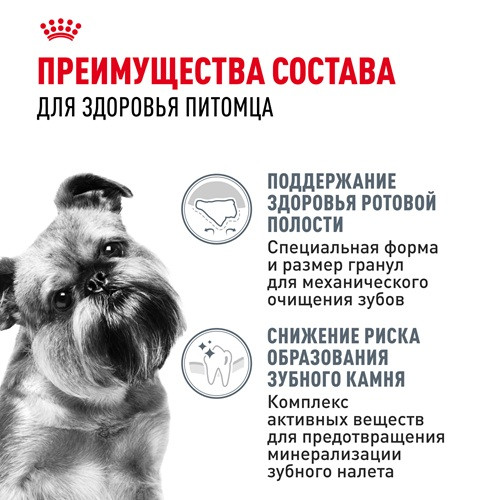 Royal Canin Mini Dental Care сухой корм для собак мелких пород