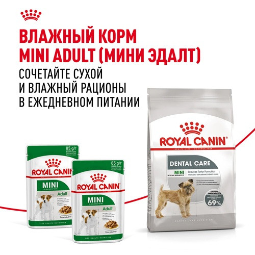 Royal Canin Mini Dental Care сухой корм для собак мелких пород