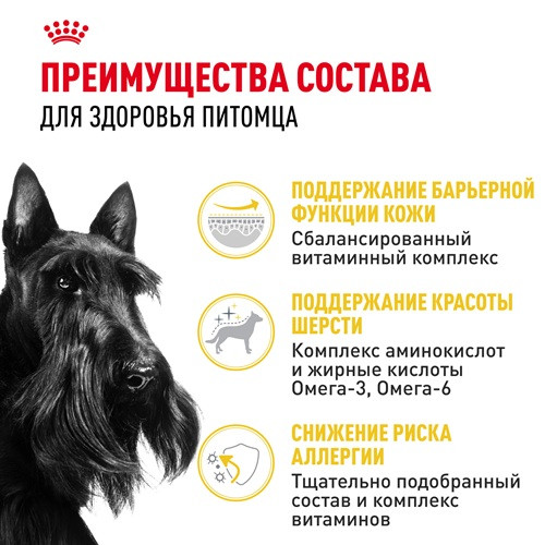 Royal Canin Mini Dermacomfort сухой корм для собак мелких пород