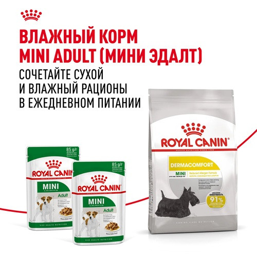 Royal Canin Mini Dermacomfort сухой корм для собак мелких пород