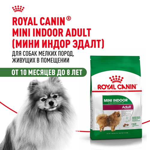 Royal Canin Mini Adult Indoor сухой корм для собак мелких пород