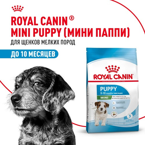 Royal Canin Mini Puppy сухой корм для щенков мелких пород