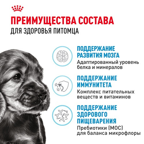 Royal Canin Mini Puppy сухой корм для щенков мелких пород