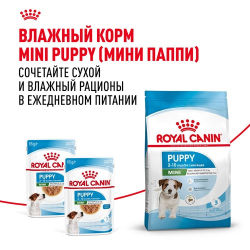 Royal Canin Mini Puppy сухой корм для щенков мелких пород