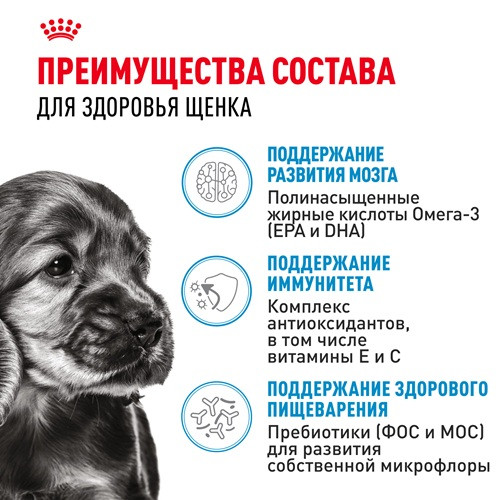 Royal Canin Mini Puppy влажный корм для щенков мелких пород