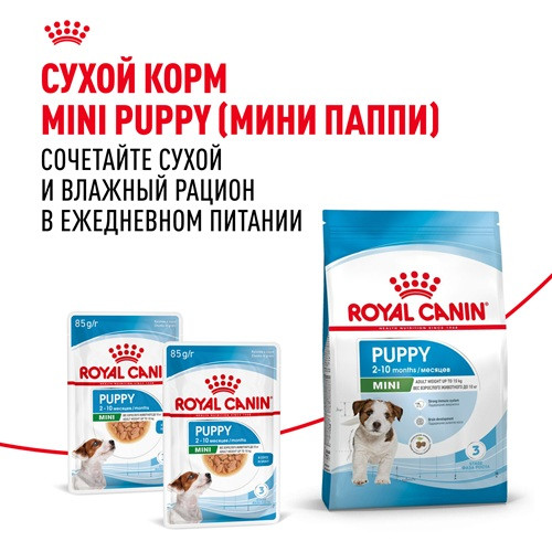 Royal Canin Mini Puppy влажный корм для щенков мелких пород