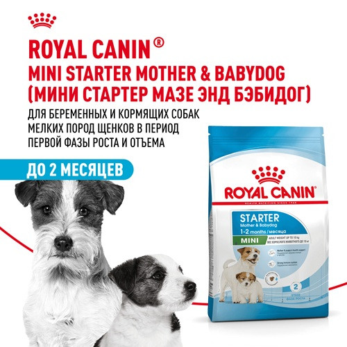 Royal Canin Mini Starter Mother & Babydog сухой корм для щенков
