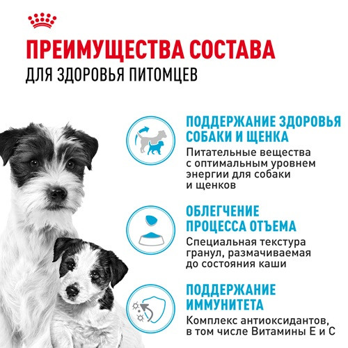 Royal Canin Mini Starter Mother & Babydog сухой корм для щенков