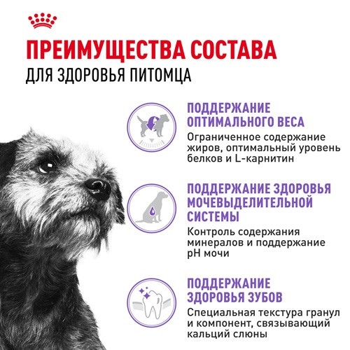 Royal Canin Mini Sterilised сухой корм для собак мелких пород
