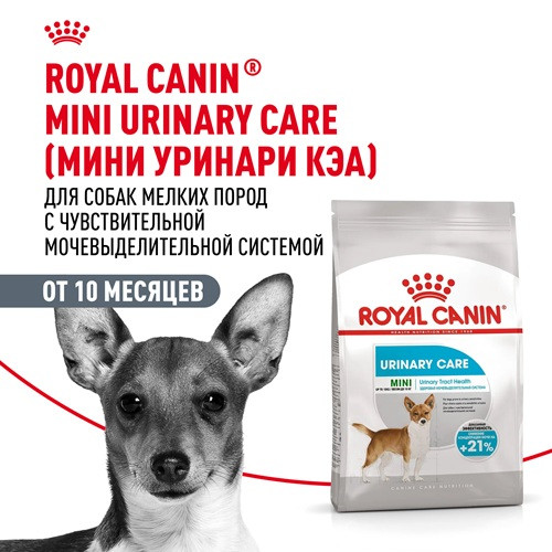 Royal Canin Mini Urinary Care сухой корм для собак мелких пород