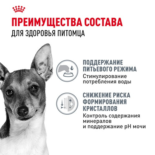 Royal Canin Mini Urinary Care сухой корм для собак мелких пород