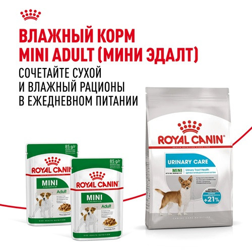 Royal Canin Mini Urinary Care сухой корм для собак мелких пород