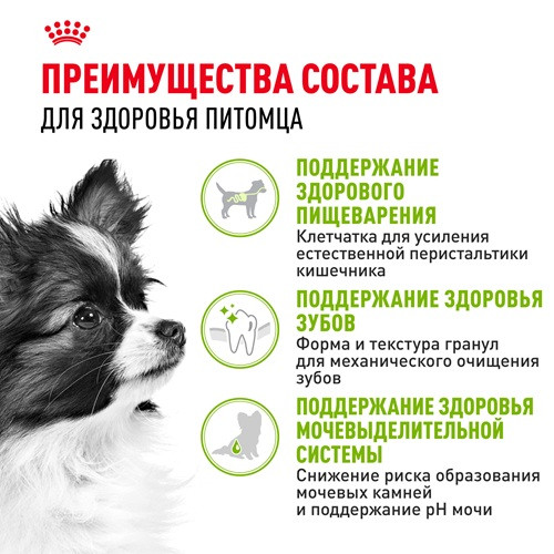 Royal Canin X-Small Adult сухой корм для собак карликовых пород
