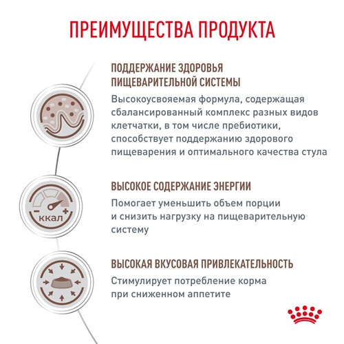 Royal Canin Gastrointestinal сухой корм для кошек при нарушениях пищеварения